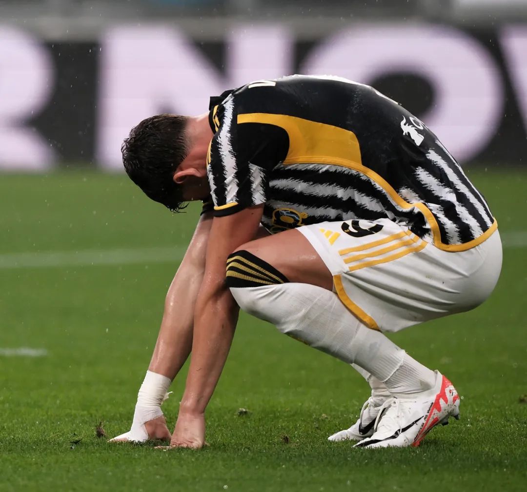 生命层面 生命层面